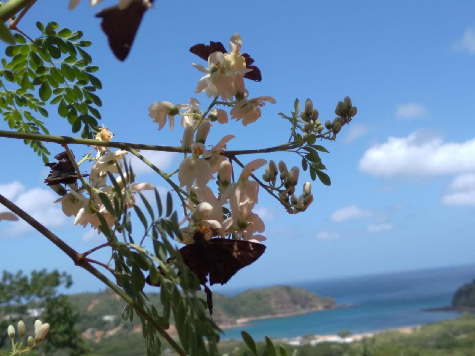 Hotel El Jardin San Juan del Sur Zewnętrze zdjęcie