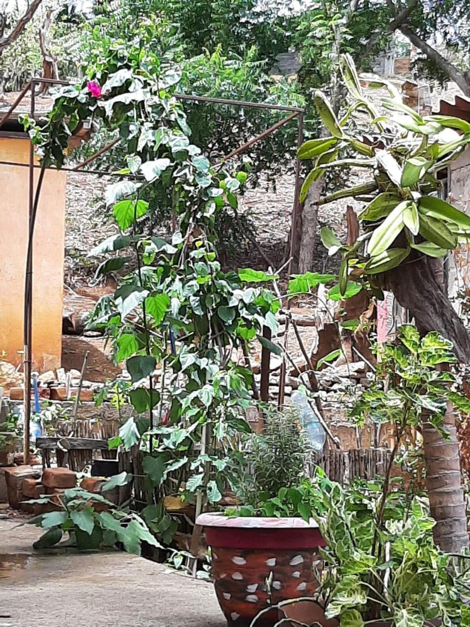 Hotel El Jardin San Juan del Sur Zewnętrze zdjęcie